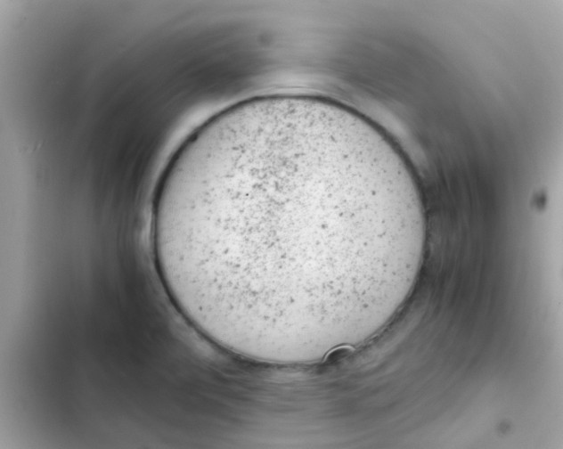 X0000103161472200809192042