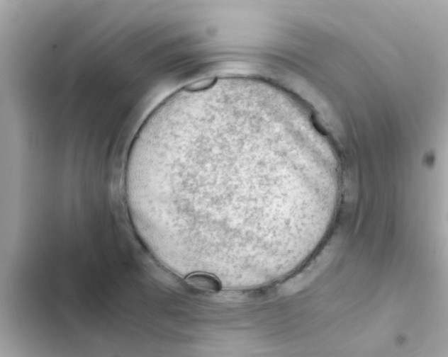 X0000103161473200809192042