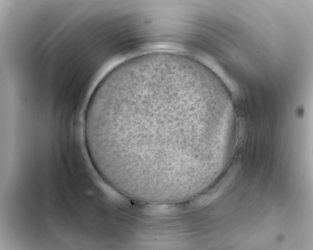 X0000103161474200809192042