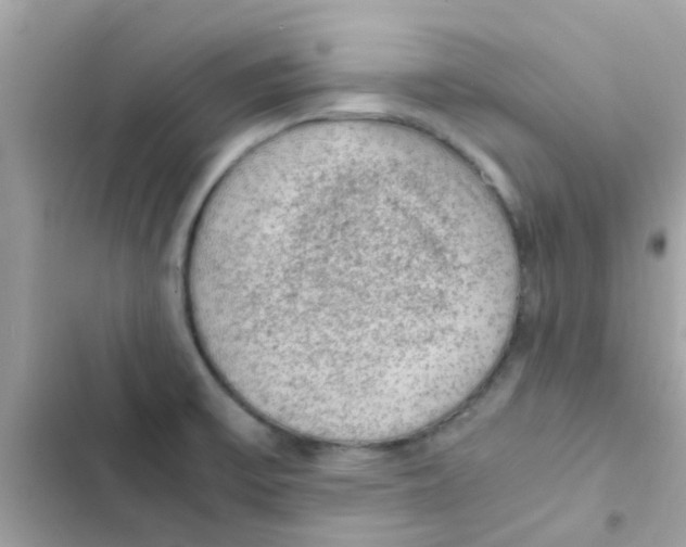 X0000103161475200809192042