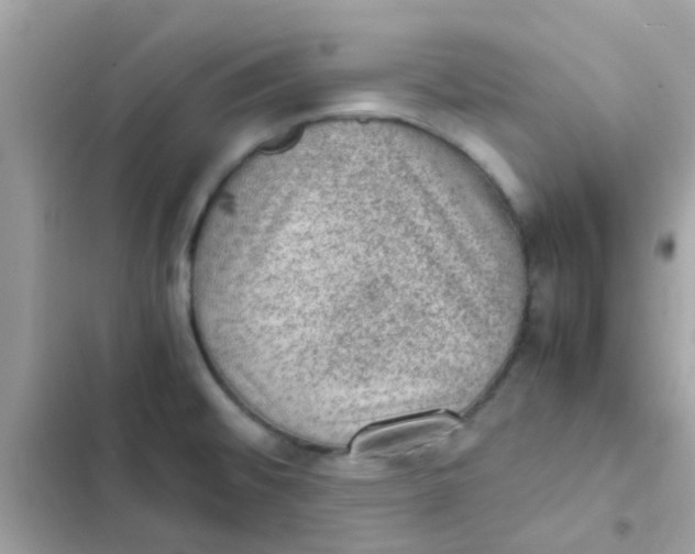 X0000103161476200809192042