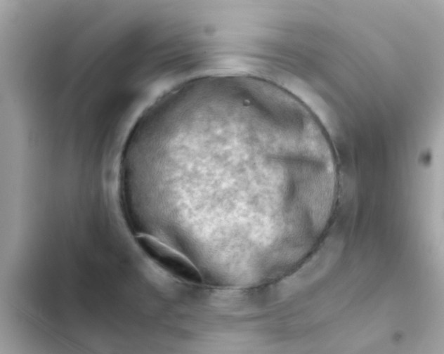 X0000103161477200809192042