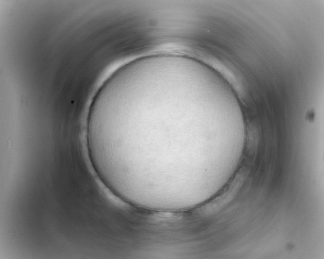 X0000103161478200809192042