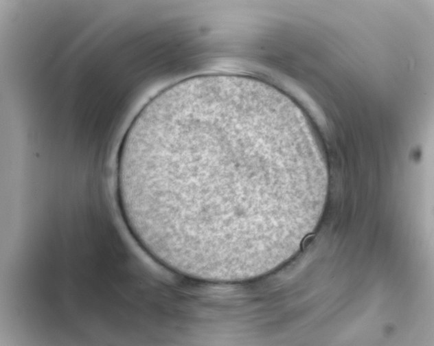 X0000103161479200809192042