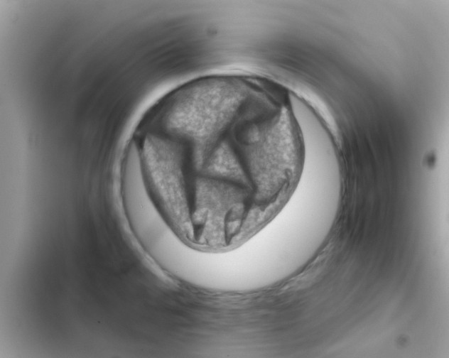 X0000103161480200809192042