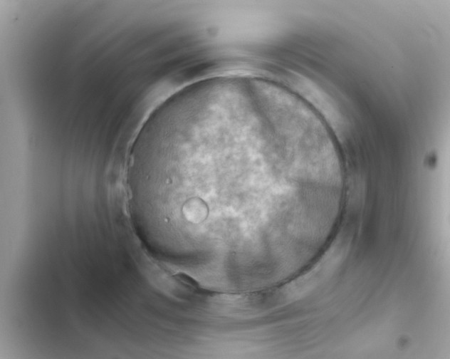 X0000103161481200809192042