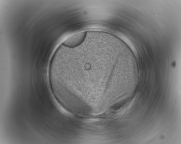 X0000103161482200809192042