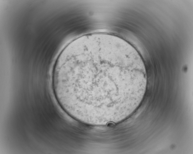 X0000103161483200809192042