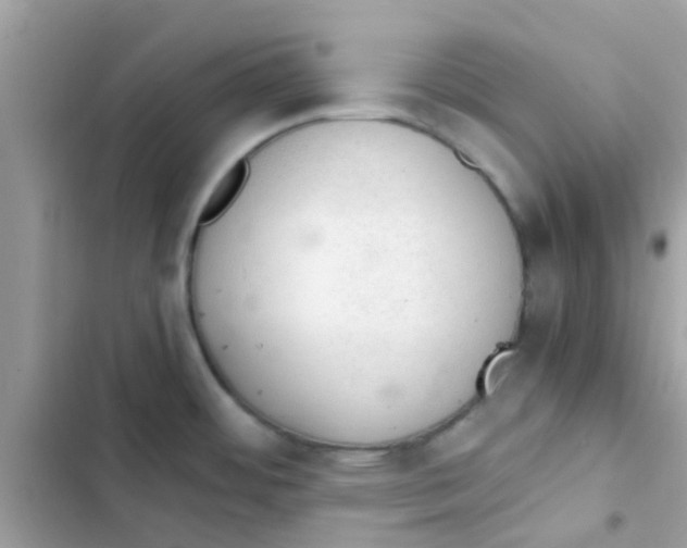 X0000103161484200809192042