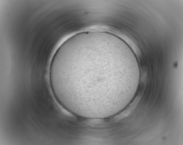 X0000103161486200809192042