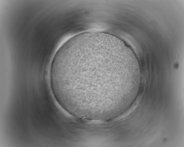 X0000103161487200809192042