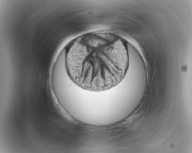 X0000103161488200809192042