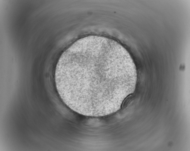 X0000103161489200809192041