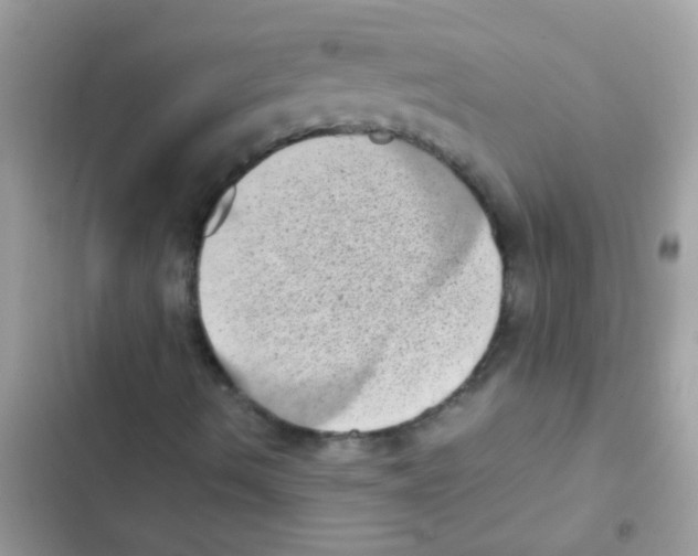 X0000103161490200809192041