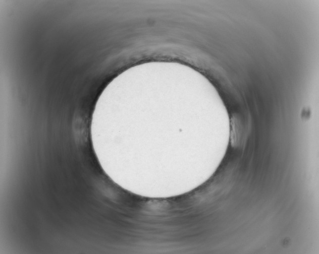 X0000103161491200809192041