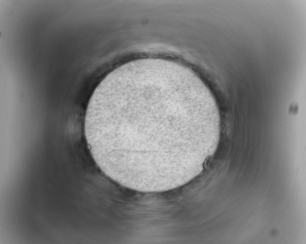 X0000103161493200809192041