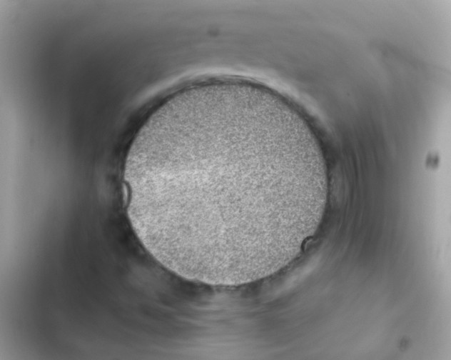 X0000103161494200809192041