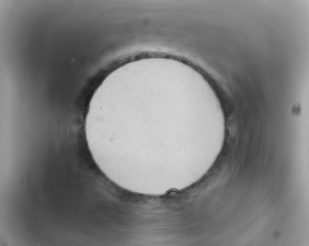X0000103161495200809192041