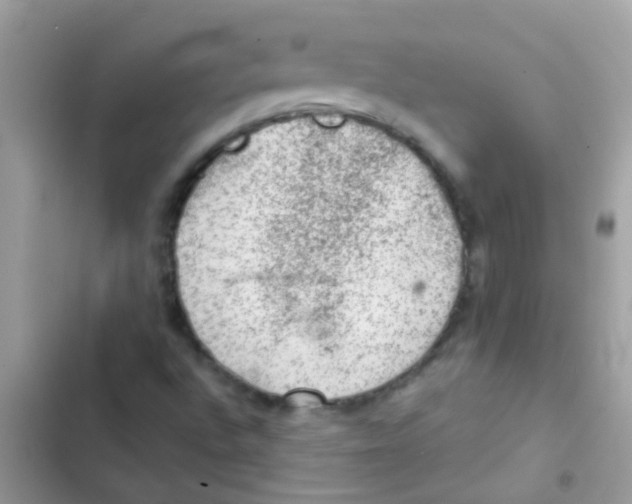 X0000103161496200809192041