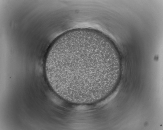 X0000103161497200809192041
