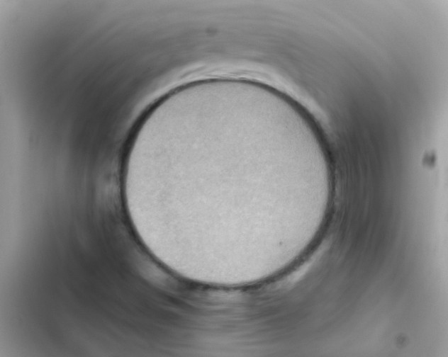 X0000103161498200809192041