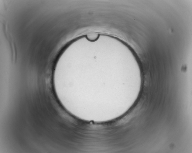 X0000103161499200809192041