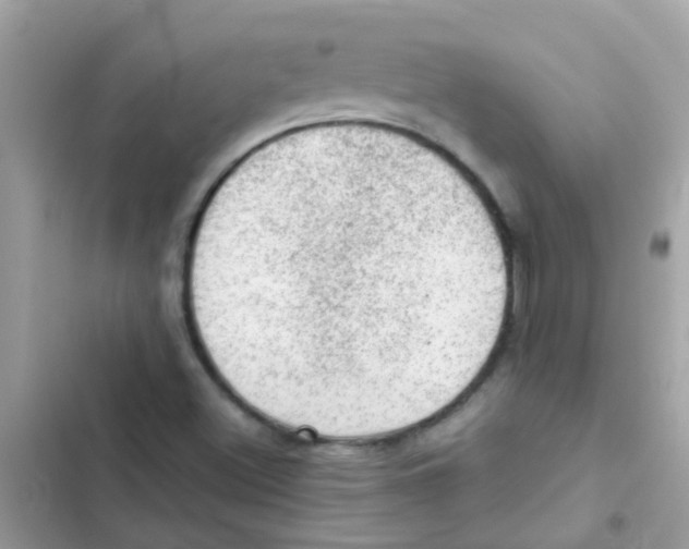 X0000103161500200809192041