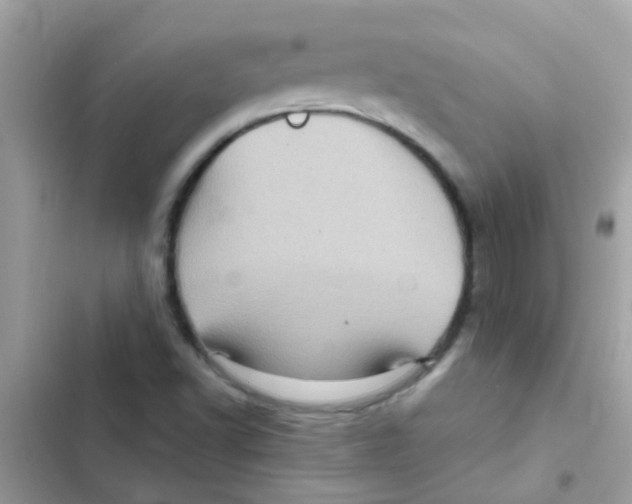 X0000103161502200809192041