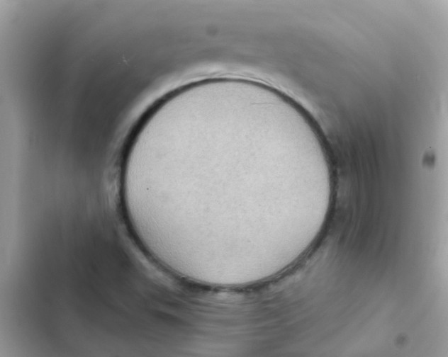 X0000103161503200809192041