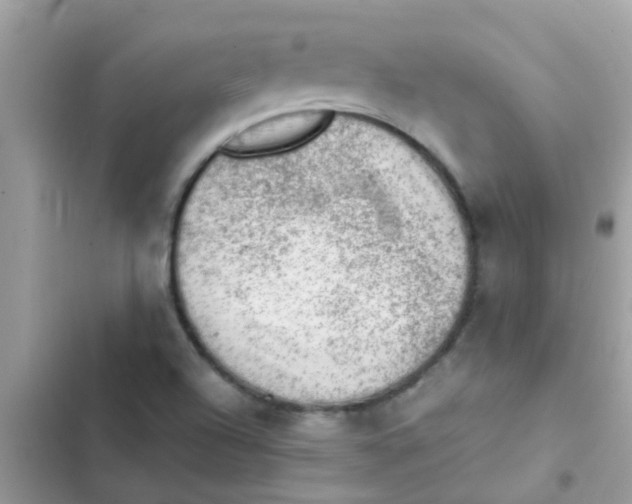 X0000103161504200809192041