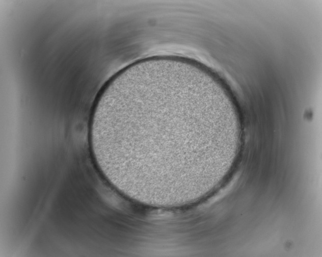 X0000103161505200809192041