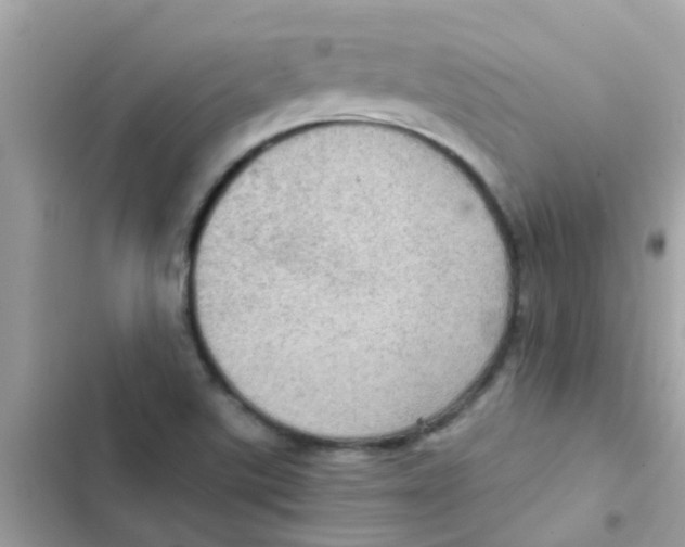 X0000103161507200809192041