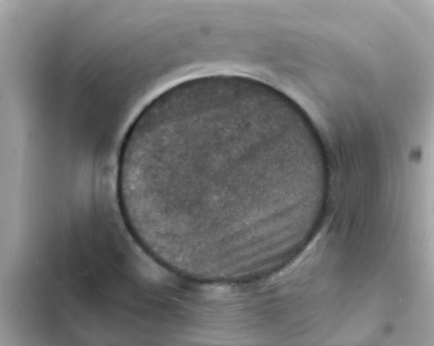 X0000103161508200809192041