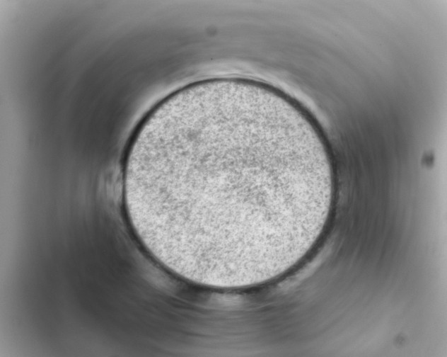 X0000103161509200809192041