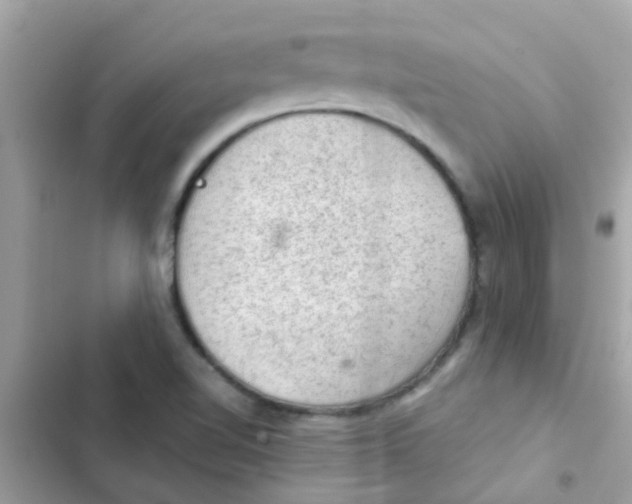 X0000103161510200809192041