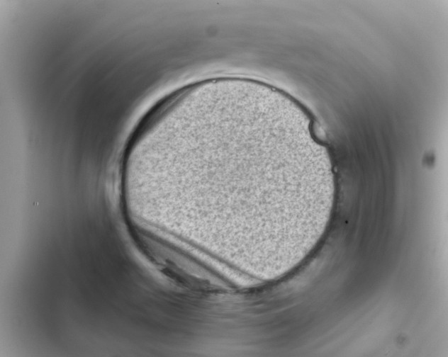 X0000103161511200809192041