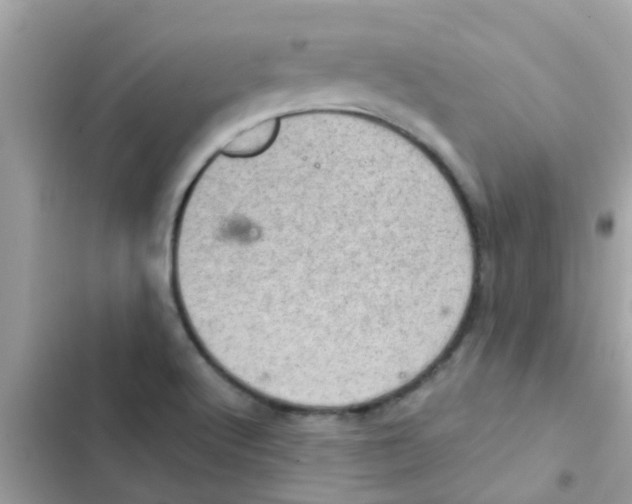 X0000103161512200809192041