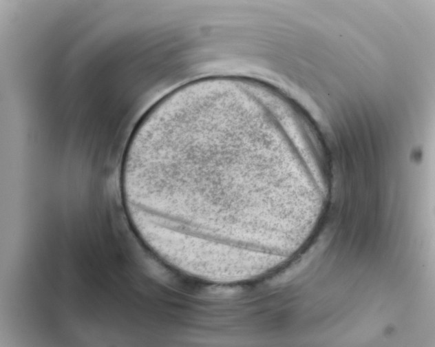 X0000103161513200809192041