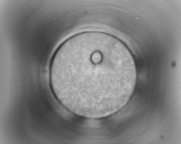 X0000103161514200809192041