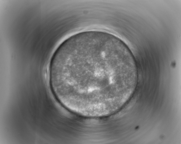 X0000103161515200809192041