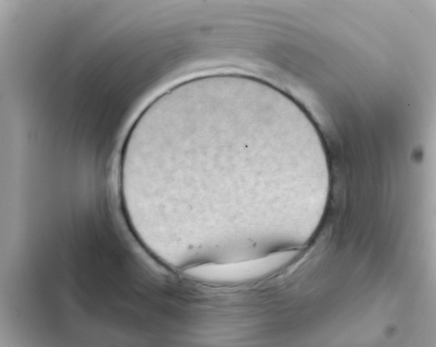 X0000103161516200809192041