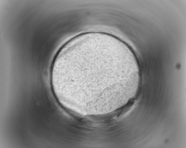 X0000103161517200809192041