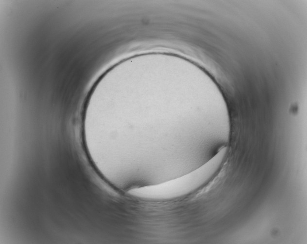 X0000103161518200809192041