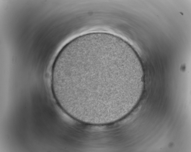 X0000103161519200809192041