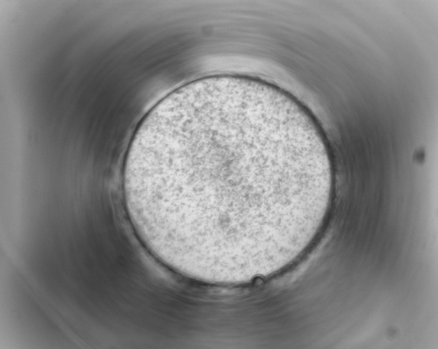 X0000103161521200809192041