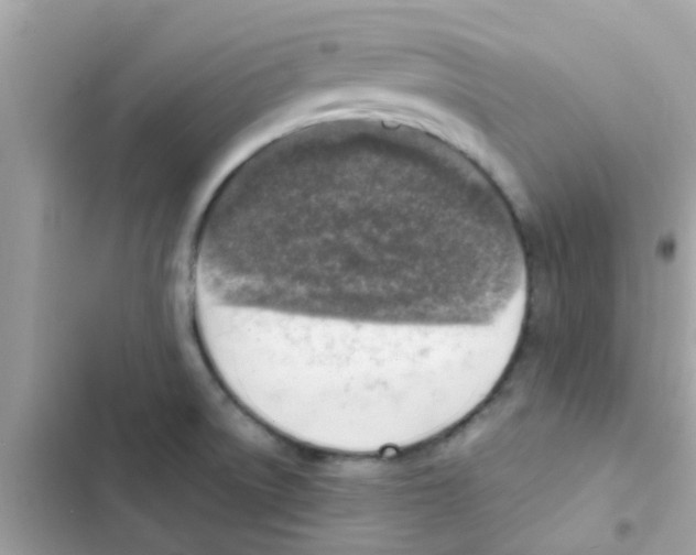 X0000103161522200809192041