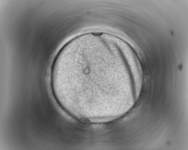 X0000103161523200809192041