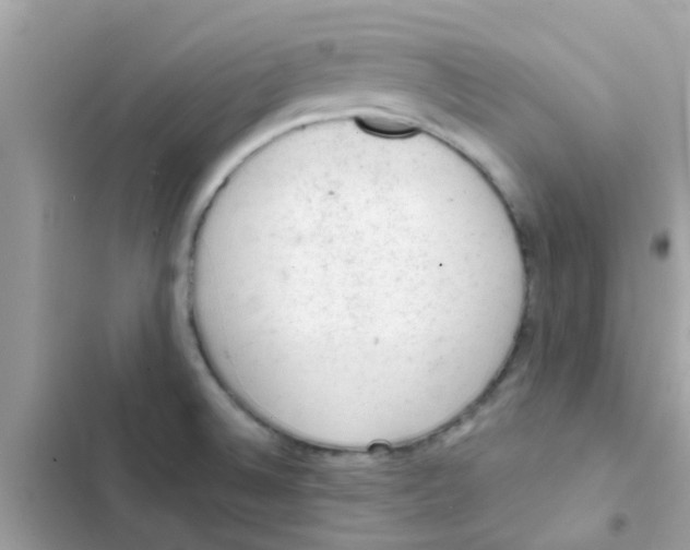 X0000103161524200809192041