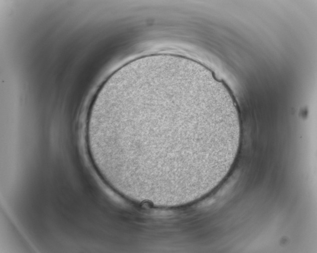 X0000103161525200809192041