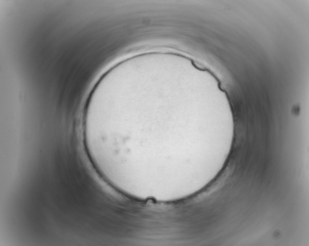 X0000103161526200809192041